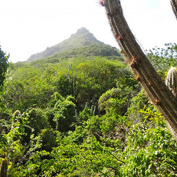 Christoffel National Park