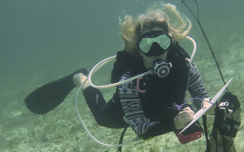 a sea photo