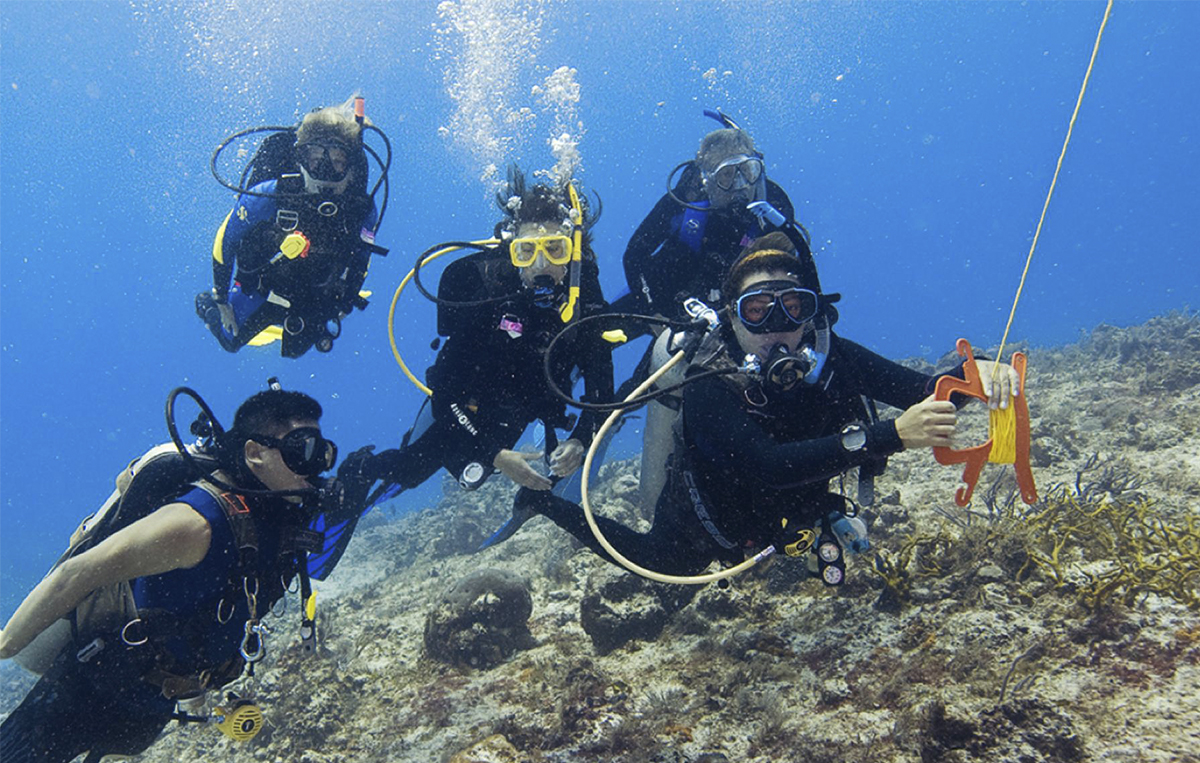 PADI Drift Diver Specialty