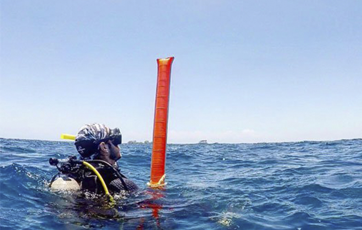 a sea photo