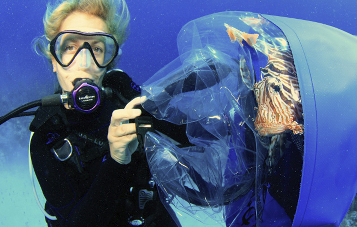 a sea photo